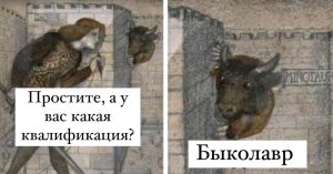 Специальность и квалификация по диплому: в чем разница?