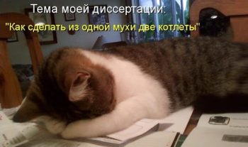 Как должна выглядеть грамотная структура магистерской диссертации?