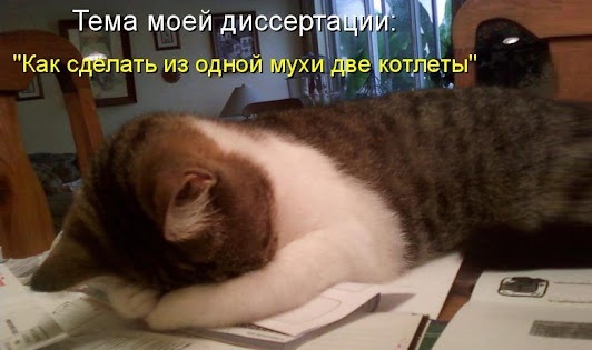 Как должна выглядеть грамотная структура магистерской диссертации?