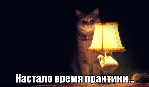 Как проходит МВД практика для студентов?