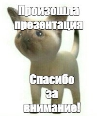 Что такое презентация к реферату и как ее сделать?