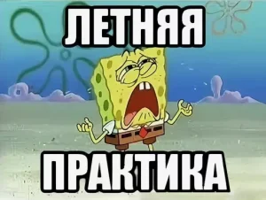 Как происходит распределение на практику в вузе?