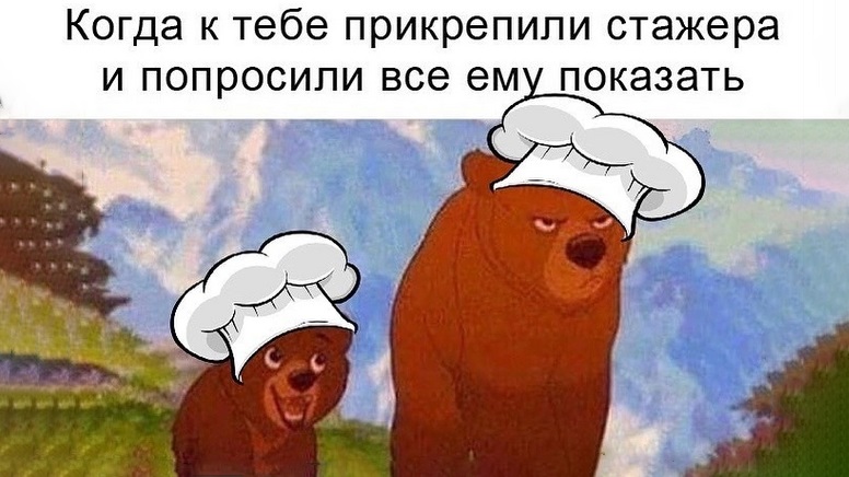 Практика и стажировка: в чем разница?