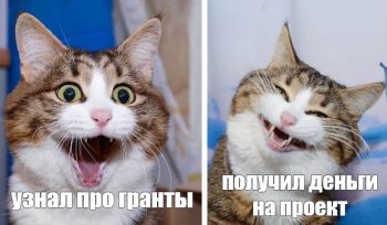 Как получить грант на обучение: инструкция