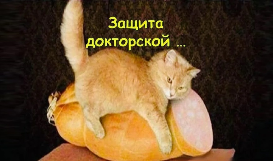 Как проходит защита докторской диссертации?