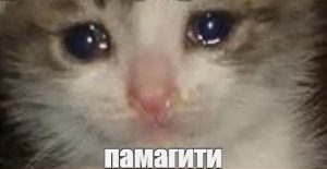 Помощь с курсовой работой: к кому обратиться, если сам уже не вывозишь?