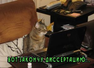 Как должна выглядеть правильная структура диссертации?