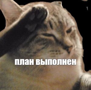 Как правильно оформить план диссертации?