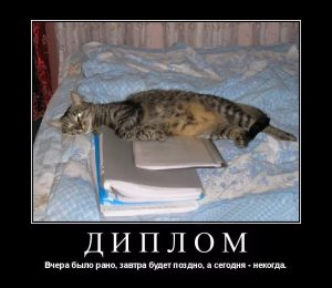 Что такое практическая значимость дипломной работы?