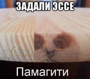 Где можно найти шаблон эссе и как его использовать?