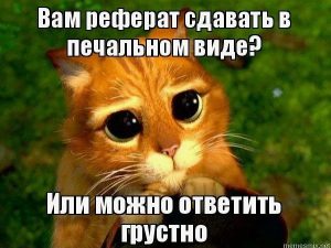 Где можно заказать реферат онлайн?