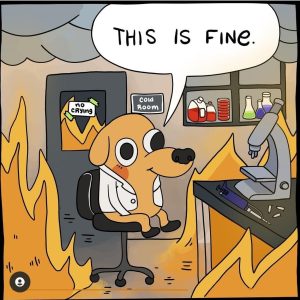 Где можно купить лабораторную работу и как не ошибиться?