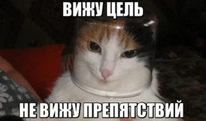 Что такое цель курсовой работы и как ее написать?