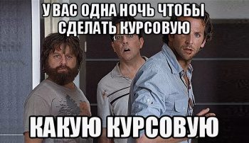 Как и где можно купить курсовую на заказ и что нужно знать перед покупкой